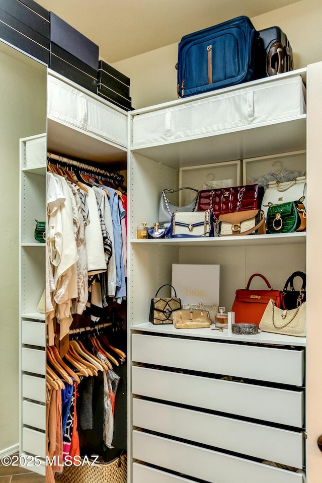 view of walk in closet