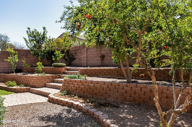 view of yard featuring a fenced backyard and a patio area