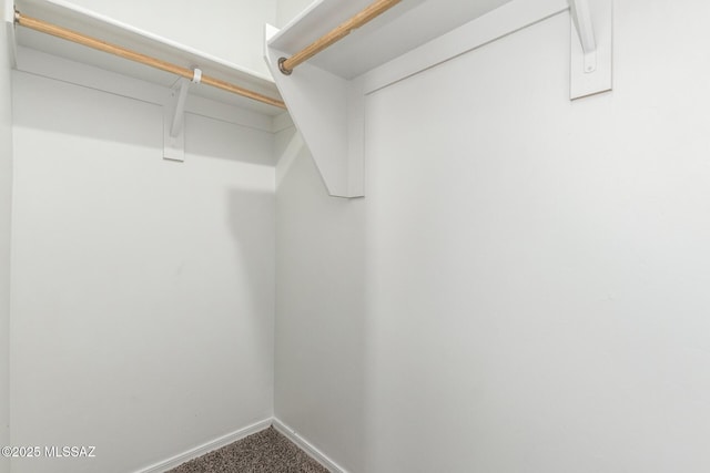 walk in closet with carpet floors