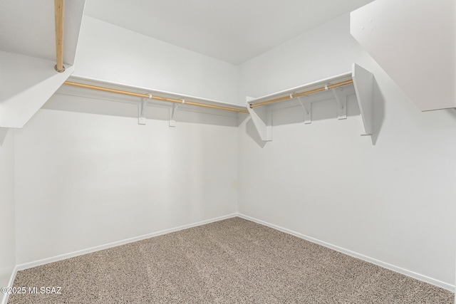 spacious closet with carpet