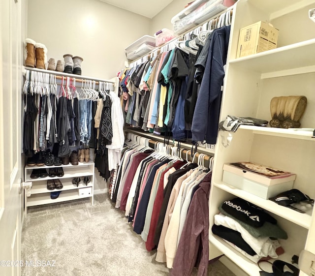 walk in closet featuring carpet flooring