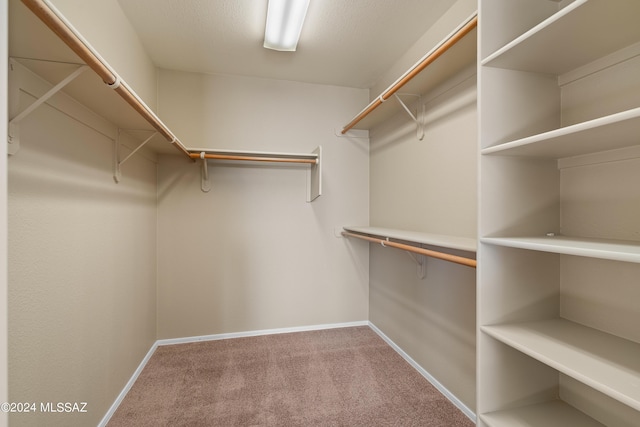 13792 E Langtry Ln, Tucson, AZ 85747 - spacious closet with carpet flooring
