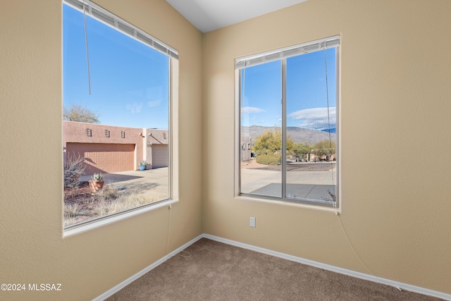 13792 E Langtry Ln, Tucson, AZ 85747 - spare room with carpet flooring, baseboards, and a wealth of natural light