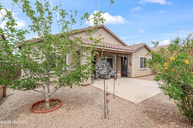 back of property featuring a patio area, a tiled roof, and stucco siding
