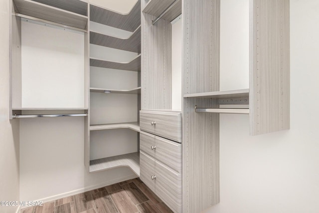 spacious closet with wood finished floors