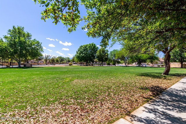 view of property's community with a lawn