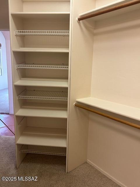 spacious closet with carpet