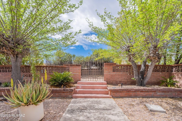 649 W Via, San Mateo, Green Valley, AZ 85614 - entrance to property featuring fence and a gate