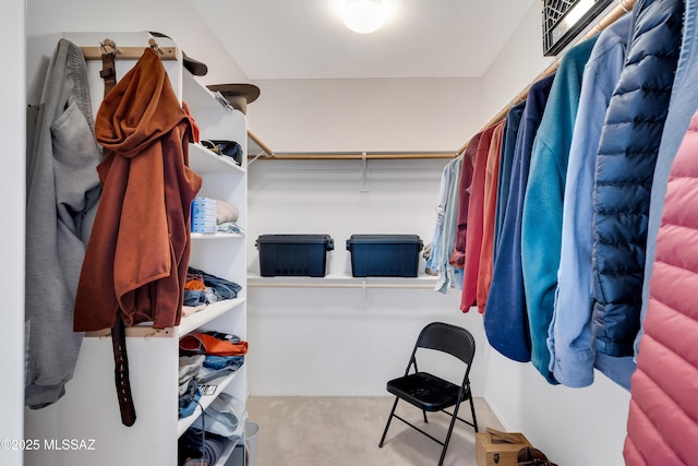 walk in closet with carpet flooring