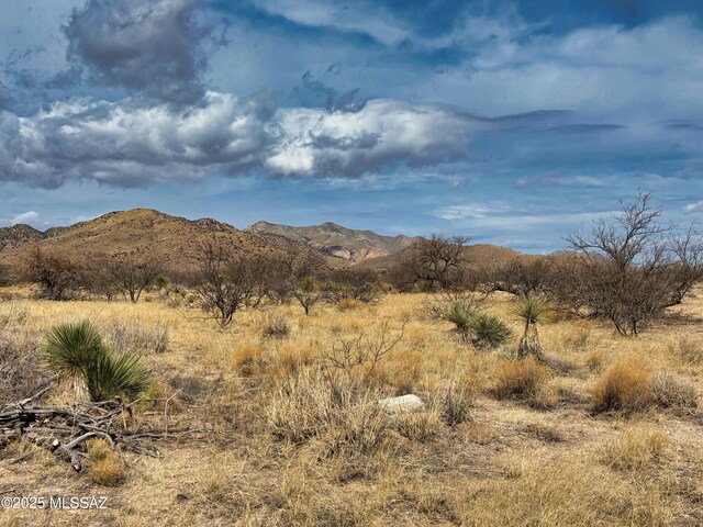 TBD Bryant St Unit 181, Pearce, AZ 85625