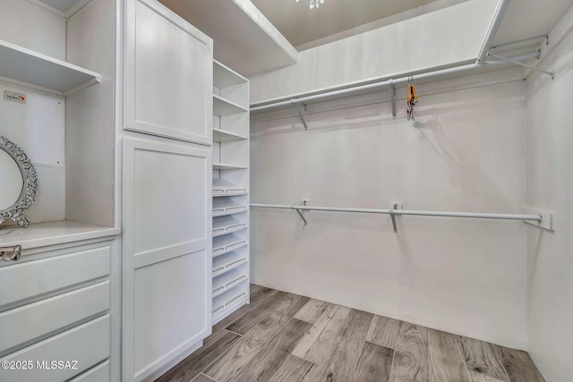 walk in closet featuring light wood-style floors