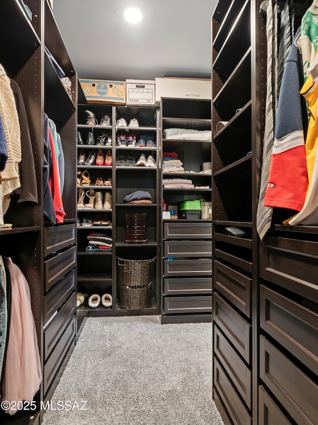 spacious closet featuring carpet flooring