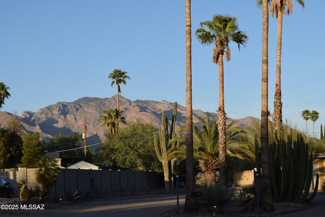 6821 N Cassim Pl, Tucson, AZ 85704 - view of mountain background