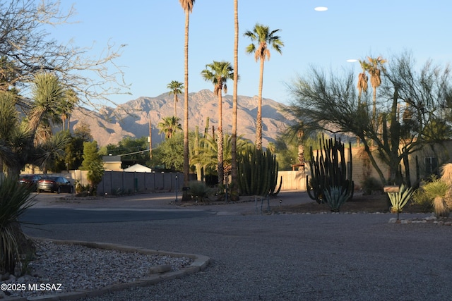 6821 N Cassim Pl, Tucson, AZ 85704 - view of mountain background