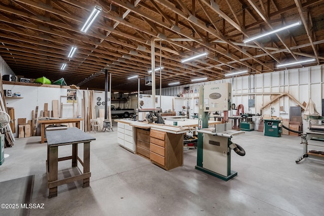 17300 S Camino Cartagena, Sahuarita, AZ 85629 - below grade area featuring a workshop area