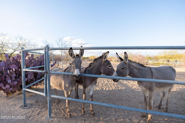 17300 S Camino Cartagena, Sahuarita, AZ 85629 - view of horse barn