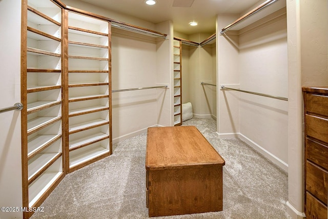 spacious closet with carpet