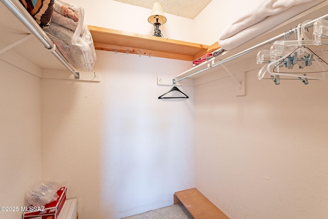 walk in closet featuring carpet floors
