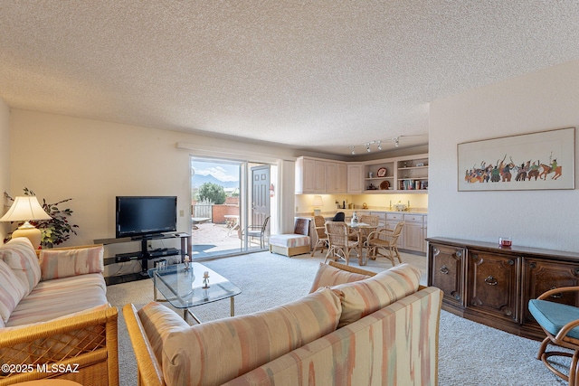 living room featuring a textured ceiling and light colored carpet