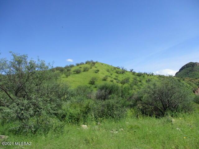 275 Camino Armadillo Unit 162, Rio Rico, AZ 85648
