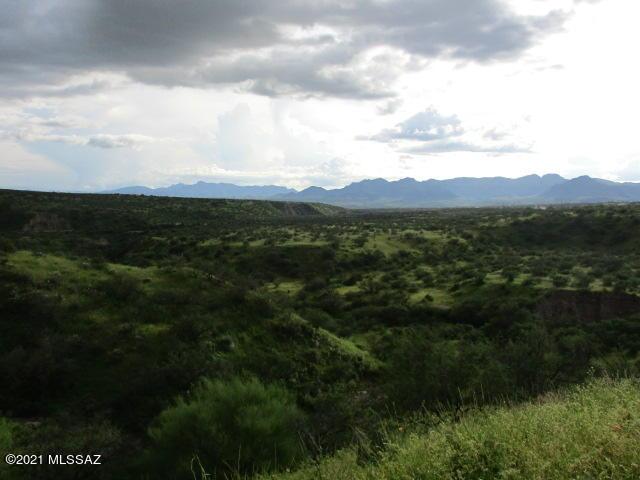 275 Camino Armadillo Unit 162, Rio Rico, AZ 85648