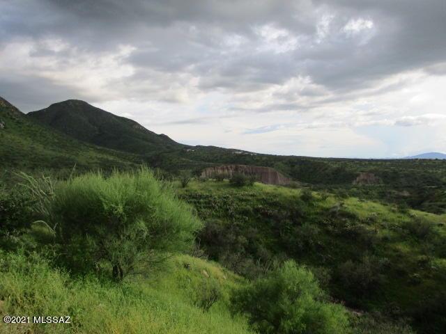 275 Camino Armadillo Unit 162, Rio Rico, AZ 85648