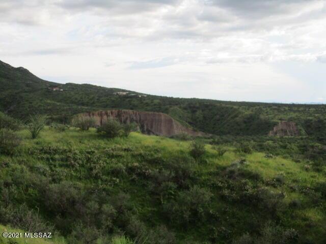 275 Camino Armadillo Unit 162, Rio Rico, AZ 85648