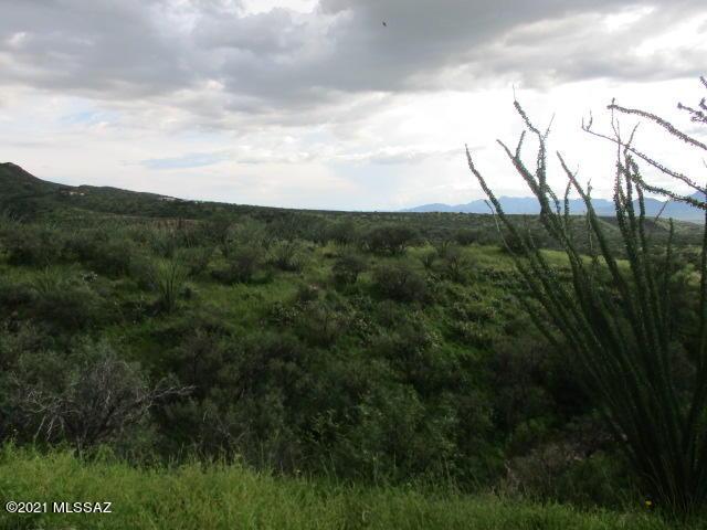 275 Camino Armadillo Unit 162, Rio Rico, AZ 85648