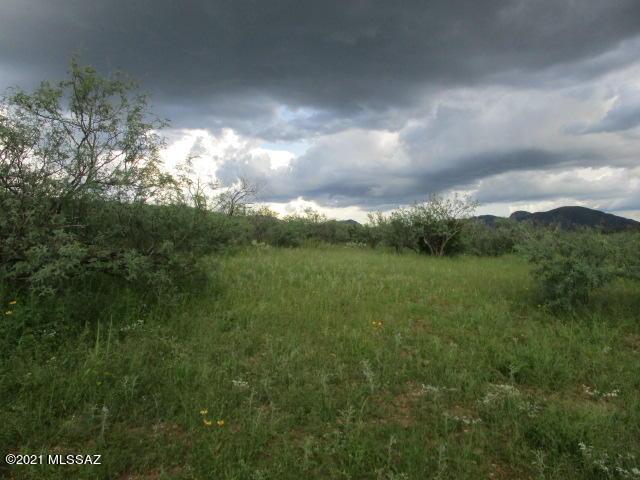 275 Camino Armadillo Unit 162, Rio Rico, AZ 85648