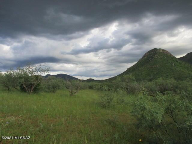 275 Camino Armadillo Unit 162, Rio Rico, AZ 85648