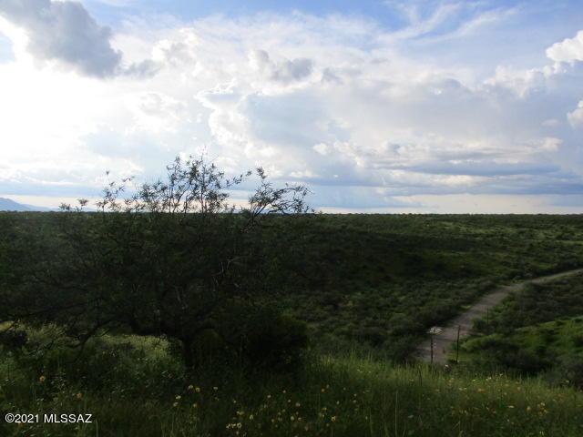 275 Camino Armadillo Unit 162, Rio Rico, AZ 85648