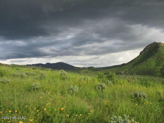 275 Camino Armadillo Unit 162, Rio Rico, AZ 85648
