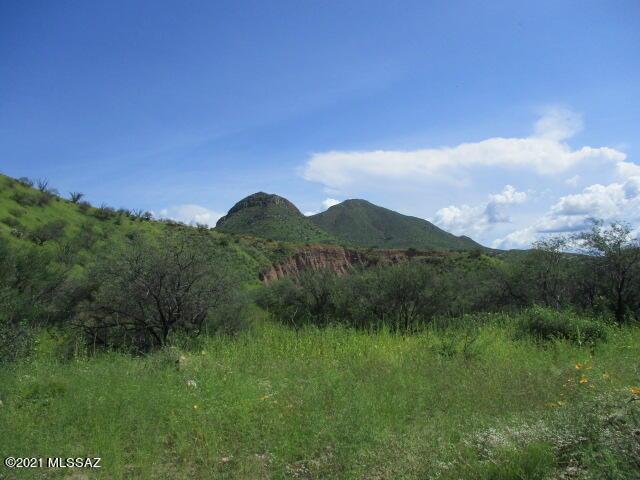 275 Camino Armadillo Unit 162, Rio Rico, AZ 85648