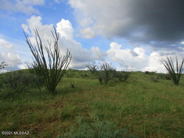 275 Camino Armadillo Unit 162, Rio Rico, AZ 85648
