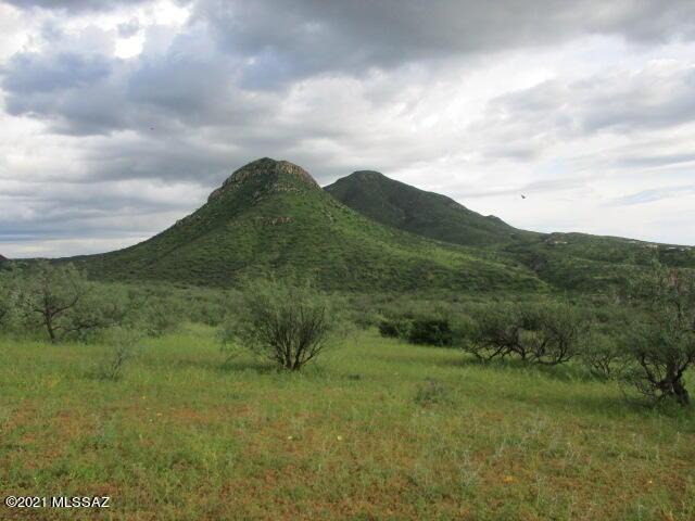 275 Camino Armadillo Unit 162, Rio Rico, AZ 85648