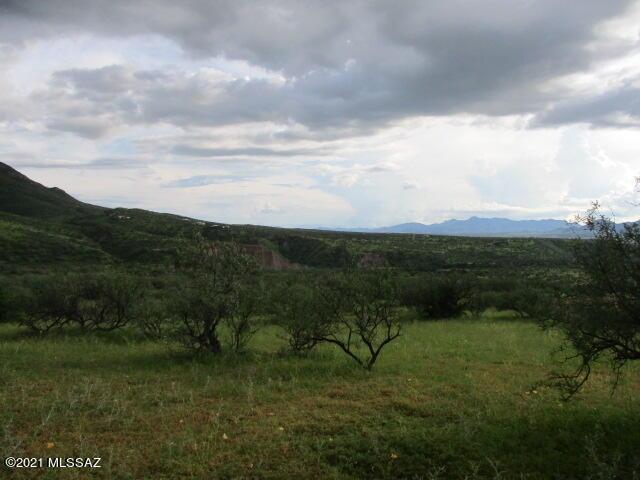 275 Camino Armadillo Unit 162, Rio Rico, AZ 85648