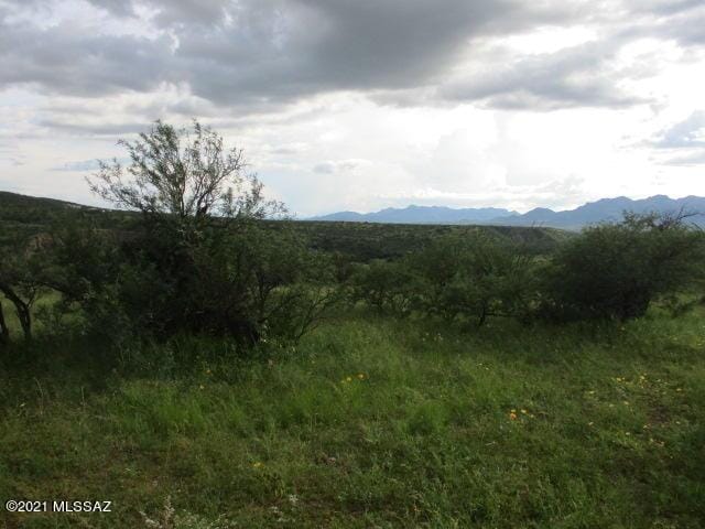 275 Camino Armadillo Unit 162, Rio Rico, AZ 85648