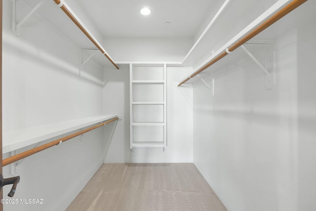 11028 N Pusch Ridge View Pl, Oro Valley, AZ 85737 - spacious closet with carpet flooring