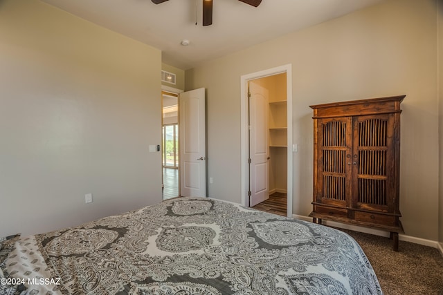 bedroom with visible vents, a ceiling fan, baseboards, a walk in closet, and carpet flooring