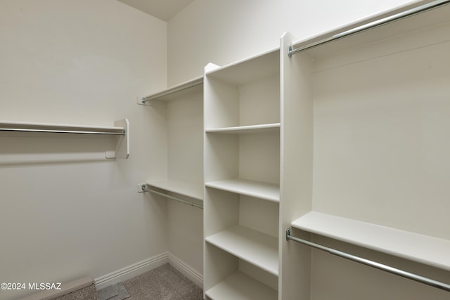 13711 N Hidden Springs Dr, Oro Valley, AZ 85755 - walk in closet featuring carpet