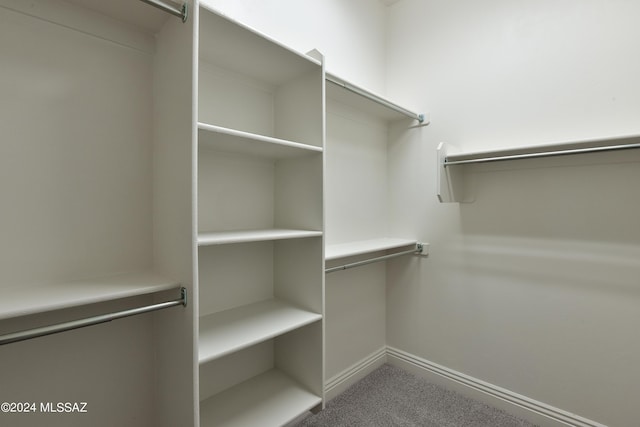 13711 N Hidden Springs Dr, Oro Valley, AZ 85755 - view of spacious closet