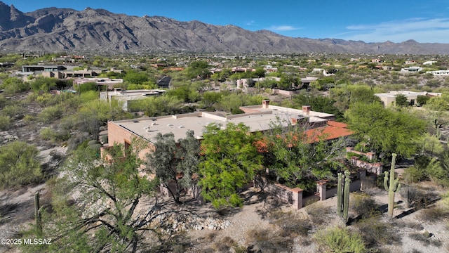 4885 N Via De La Granja, Tucson, AZ 85718