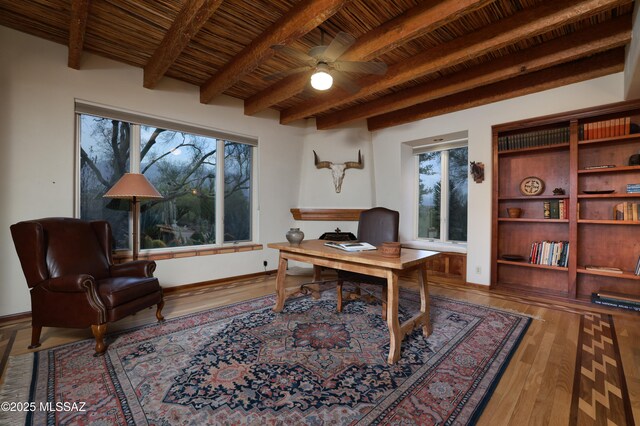 4885 N Via De La Granja, Tucson, AZ 85718