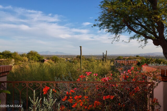 4885 N Via De La Granja, Tucson, AZ 85718