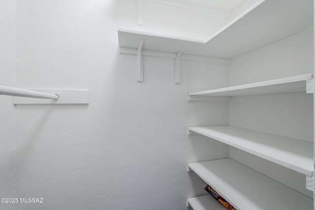 4825 E Hawthorne St, Tucson, AZ 85711 - view of spacious closet