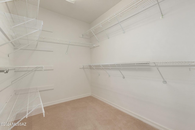 spacious closet with carpet floors