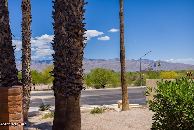 10127 E Achi, Tucson, AZ 85748 - view of mountain backdrop