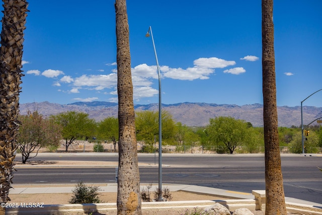 10127 E Achi, Tucson, AZ 85748 - mountain view