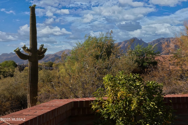 4915 N Via De La Granja, Tucson, AZ 85718 - mountain view