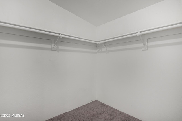 walk in closet with carpet